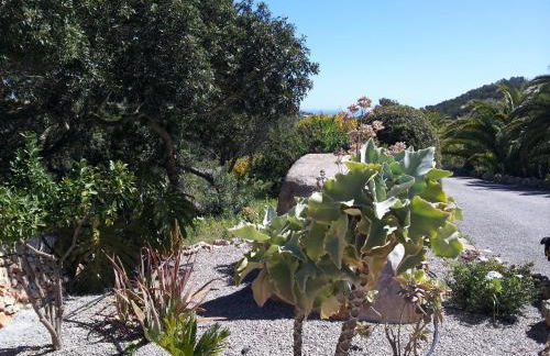 Agroturisme Es Picot - Foto 88