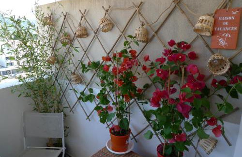 Nidu Accogliente in Balagna - Foto 36