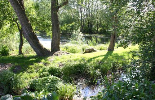 Familienfreundliche Ferienwohnung am Reuterteich - Foto 30