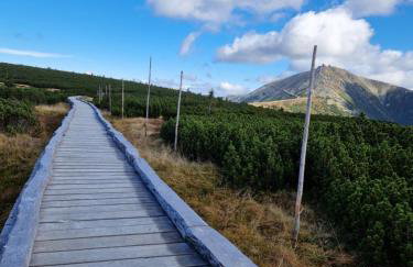 Apartamenty KADO (MATEJKI) - Photo 17