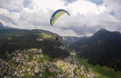 Edelweiss, Studio 5 pers, balcon sud est, vue sur les montagnes - Foto 59