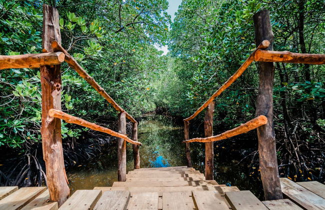 Excursión al Parque Nacional de Jozani - Foto 7