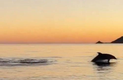 T2 d'exception 100m plage terrasse vue mer et montagnes - Foto 39