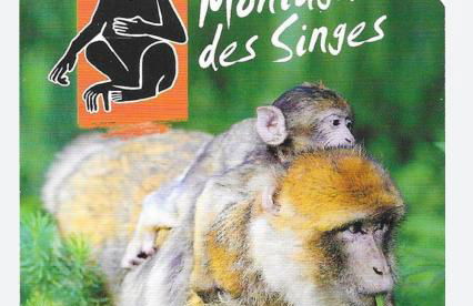 Apartment Ebersheim France - Foto 29