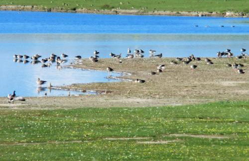 Haus Halligblick - Foto 43