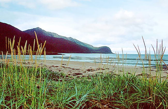 8 Person Holiday Home in Nuvsvag-by Traum - Foto 32