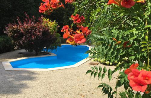 Ferienwohnung Gohrisch - Foto 23