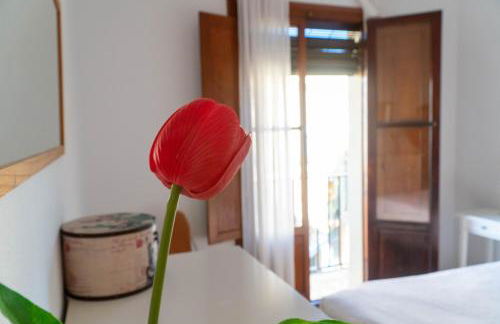 Light House Sherry - Foto 14