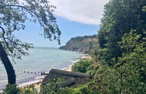 Maycliffe - Photo 58