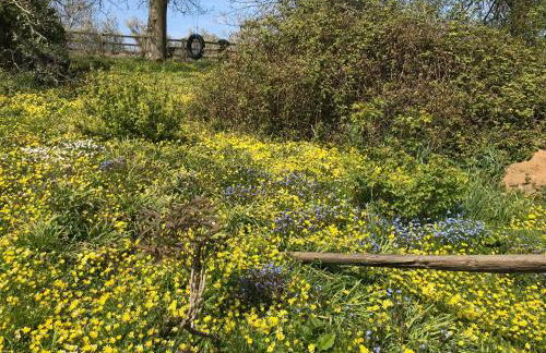 The Bothy at Oak Farm - Foto 27