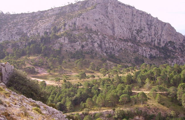 Ca Les Barberes - Photo 22