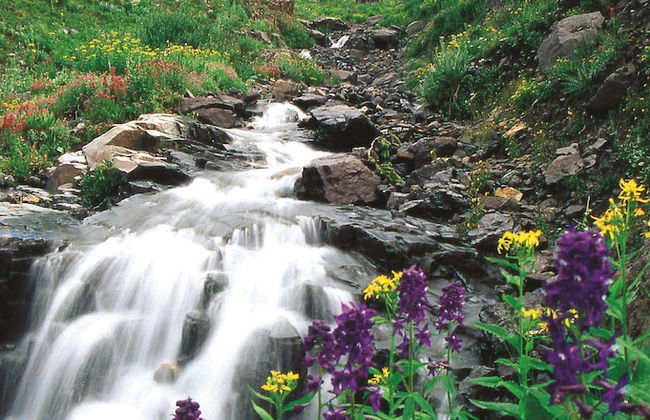 Fairmont Heritage Place, Franz Klammer Lodge - Foto 33