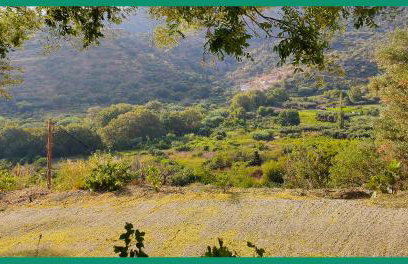 Kampos View Ikaria - Photo 32