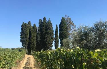 Melarancio Home - Foto 38