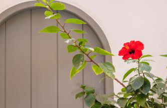 Simple House Mykonos Sunset - Foto 23