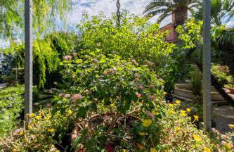 ***Villa Prestige**** - Foto 31