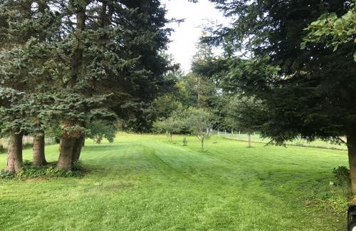 Ferienwohnung Rothirsch - Foto 39