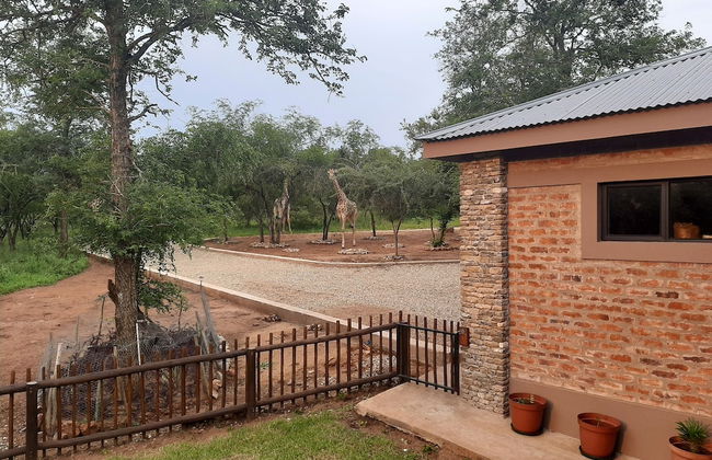 Immaculate 2-bed Cottage in Marloth Park - Photo 13