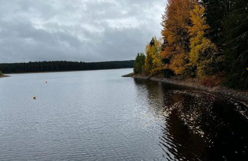 Ferienwohnungen Carlsfeld - Foto 65