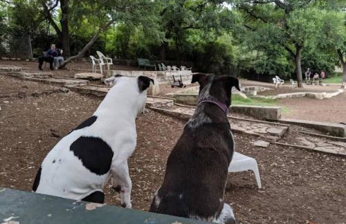 Steps away from Downtown Restaurants and Bars - King Bed - Foto 25