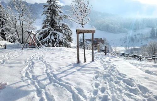 STUDIO plein sud "Les Arolles" Balcon de VILLARD DE LANS - Foto 16