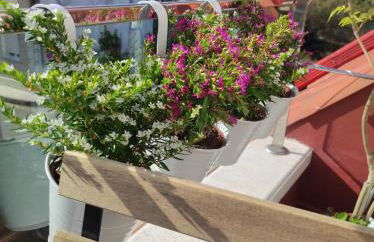 Apartamento Carril - Camiño do Carro - Foto 18