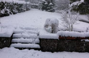 Alpine Blue Apartments - Foto 21