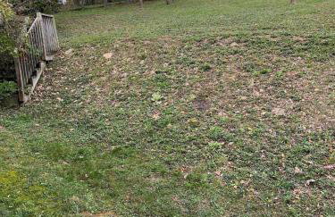 3BR Pet Friendly Cottage Mathias WV - Foto 23