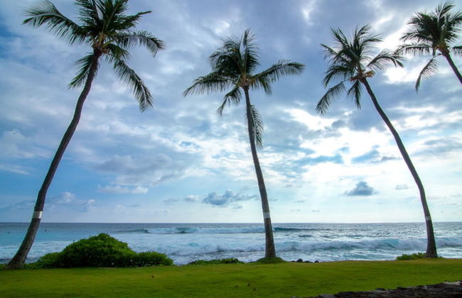 Kona Reef Resort - Foto 7