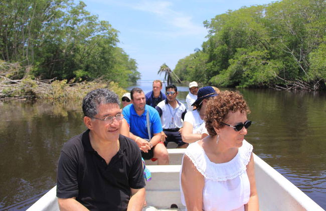 Avistamento de aves e crocodilos + Liberação de tartarugas - Foto 4