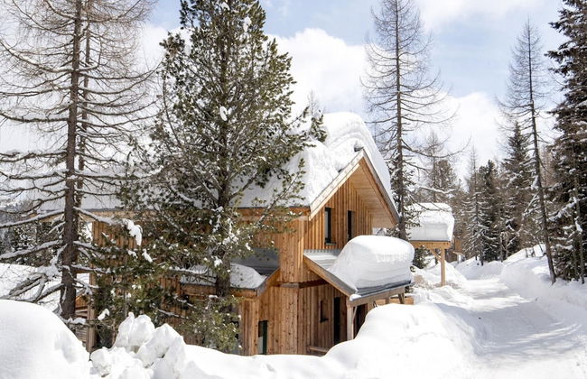 Peaceful Chalet in Turracherhöhe with Indoor Hot Tub - Foto 20