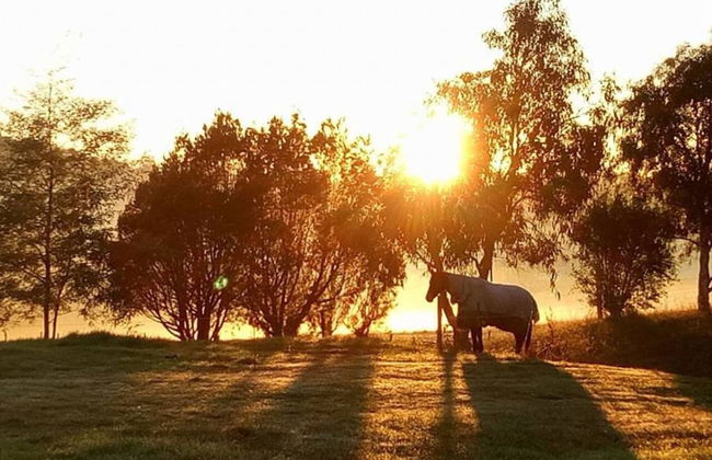 Jilly Park Farm Interactive Experience - Foto 17