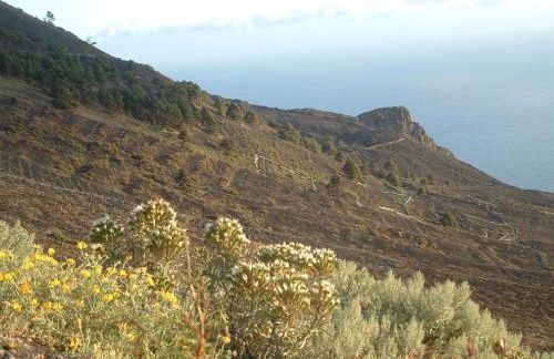 Casa Los Viñedos A - Foto 27