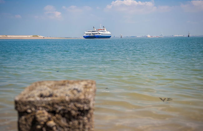 Hostel in Nieuwvliet Near the Beach - Photo 26