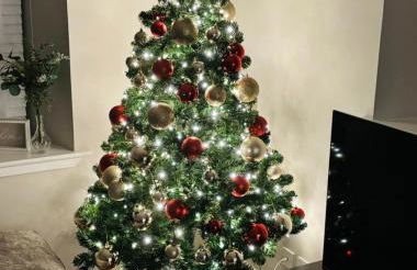 Cottage in Crieff - Photo 29