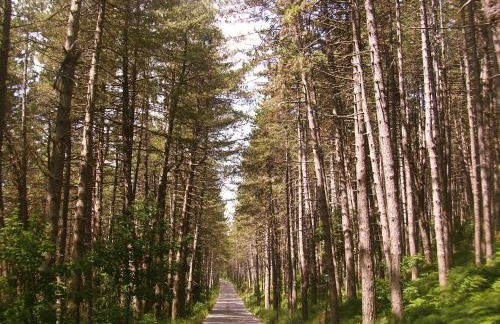 Cuccaro Club - Val di Vara e Cinque Terre - Foto 51