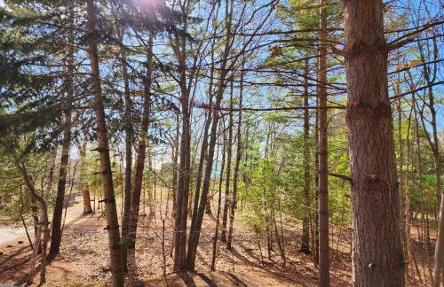 Good Hart Haven - Foto 31