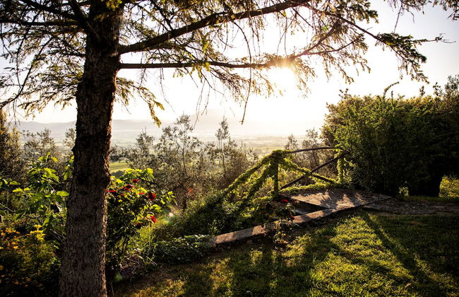 Agriturismo Poggio Degli Olivi - Guest House - Foto 49