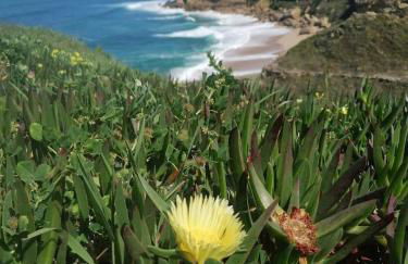 Arrábida Cozy House - Foto 71