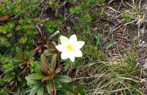 Baita Figliezzi - Foto 76