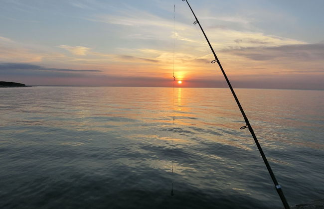 Ostseetraum Graal-Müritz - Foto 20