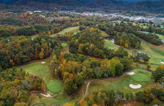 Bearly Gnomey - Foto 27