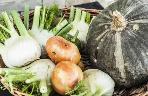 Azienda Agrituristica Alcastlè - Foto 49