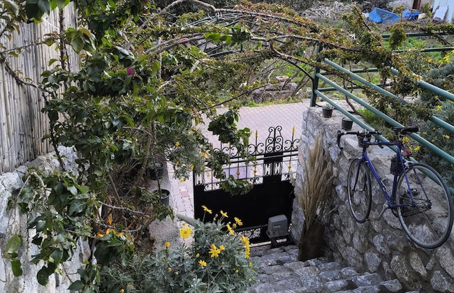 Pasha Bungalovs - Foto 16