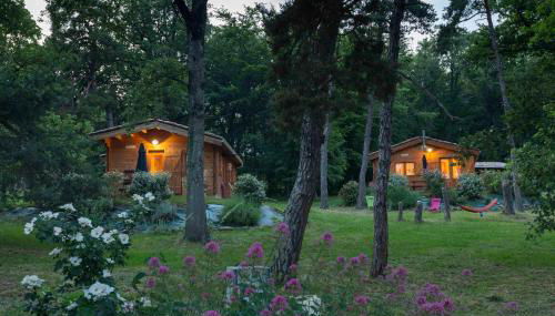 Chalets du Bois de Vache - Foto 3, Garden view