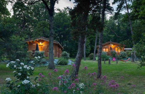 Chalets du Bois de Vache - Foto 3