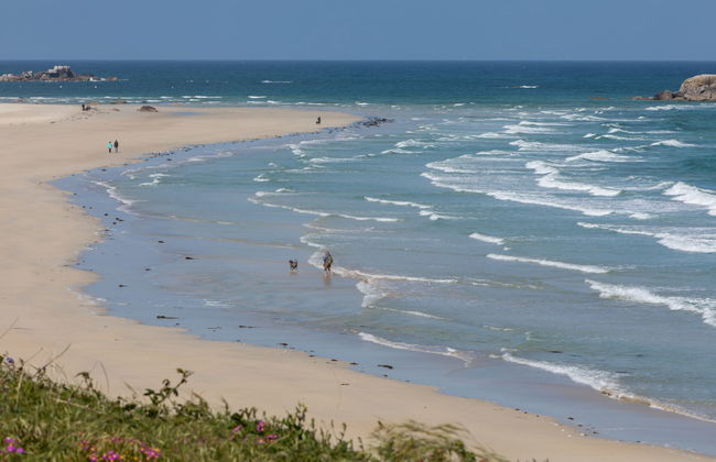 des Aulnes - Foto 36