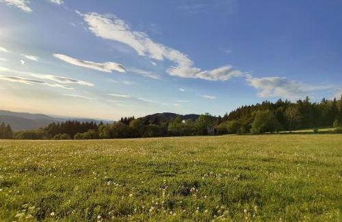 Ferienwohnung Wehner - Foto 13