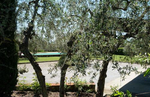 La Casa delle Rose - Photo 23