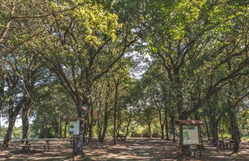 Spacious Farmhouse in Pienza with Swimming Pool - Foto 80